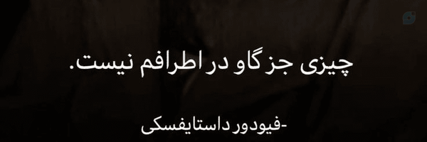 ‌دفترچه پروفسور امیر‌'s header picture