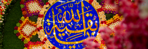 ‌آرام‌'s header picture