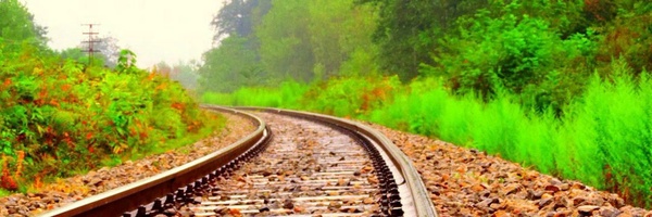 ‌علی_19‌'s header picture