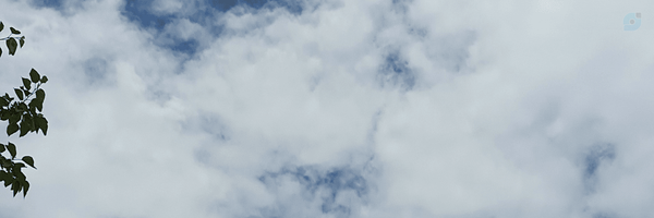 ‌سادات بانو‌'s header picture