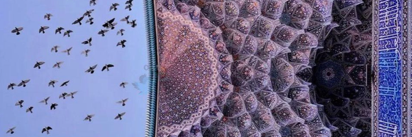 ‌فردوس نقوی‌'s header picture