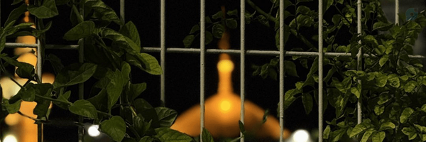 ‌``دلداده متحول``‌'s header picture