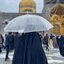Profile picture of ‌صـــــٰاد ᨳ‌
