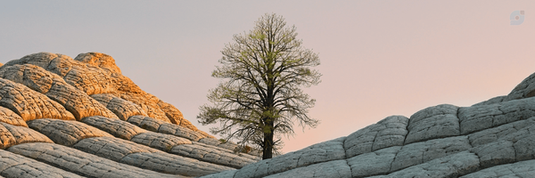 ‌رسانه فرات‌'s header picture