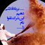 Profile picture of ‌ایمان یزدی‌