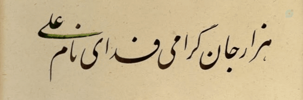 ‌Maedeh Mrfi‌'s header picture