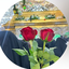 Profile picture of ‌تمنا هاشمی نصب‌