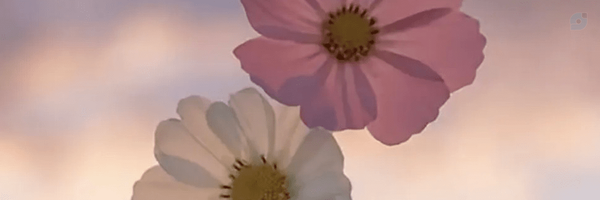 ‌نادیا 🌸‌'s header picture