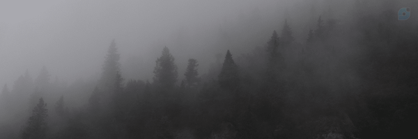 ‌MAHDI‌'s header picture