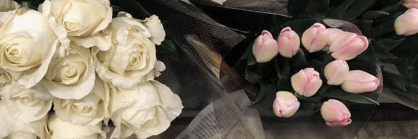 ‌یـاسـ♡‌'s header picture