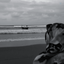 Profile picture of ‌PJ‌