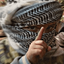 Profile picture of ‌سـیــدعــلــی‌