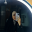 Profile picture of ‌" ملیکآخانـوم "‌