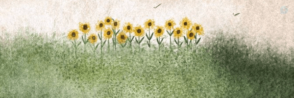 ‌سیده خاتون؛🌱‌'s header picture
