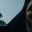 Profile picture of User