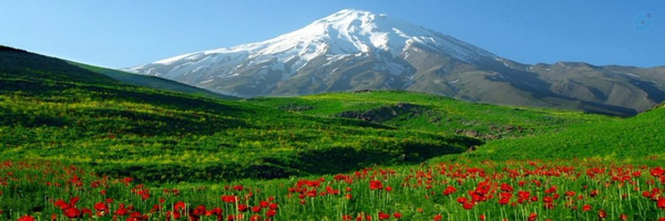 ‌Ali Afshari‌'s header picture