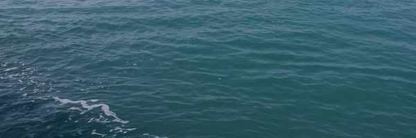 ‌محسن ایزدی بیدانی‌'s header picture
