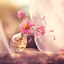 Profile picture of ‌زهرا‌