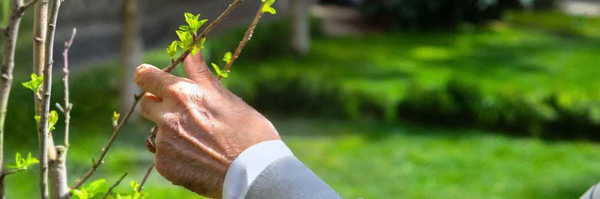‌خانوم عکاس‌'s header picture