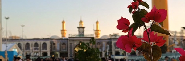 ‌سیدمصطفی حسینی‌'s header picture