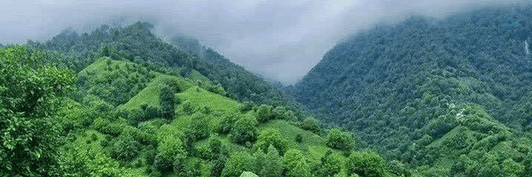 ‌Amir.sadeghi ا‌'s header picture
