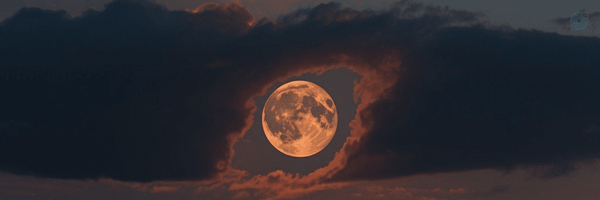 ‌𝕊𝕖𝕪𝕖𝕕𝕄𝕒𝕝𝕒𝕖𝕜𝕖‌'s header picture