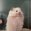 Profile picture of ‌Fateme Heidary‌