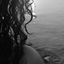 Profile picture of ‌مريم مهاجر‌