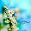 Profile picture of ‌م م س‌