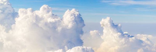 ‌وحشی بافقی‌'s header picture