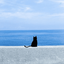 Profile picture of ‌M_reza79‌
