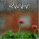 Profile picture of ‌ش شريفي‌