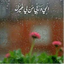 Profile picture of ‌ش شريفي‌