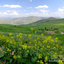 Profile picture of ‌علی کیانی‌