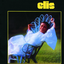 Cais