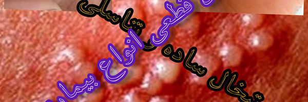 ‌علی محمد زند‌'s header picture