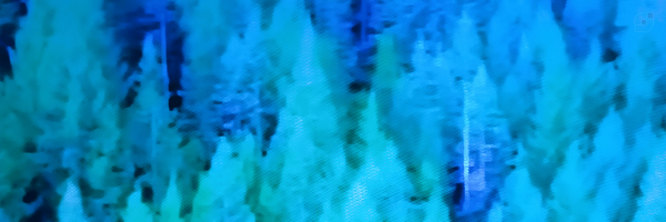 ‌Shahram Hardani‌'s header picture