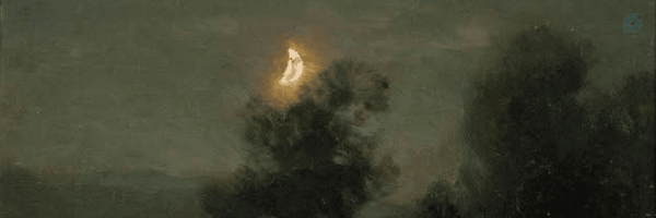 ‌سَروین؛‌'s header picture