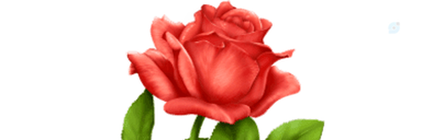 ‌محمد‌'s header picture