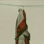 Profile picture of ‌هیچ‍؛‌