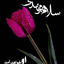 Profile picture of ‌نفیسه‌