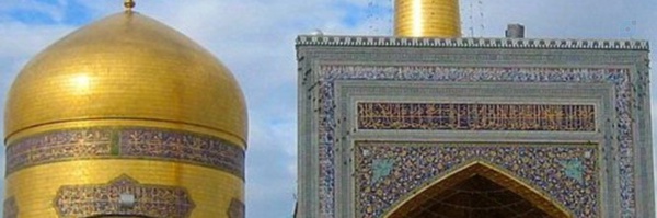 ‌زهره سادات حسینی‌'s header picture