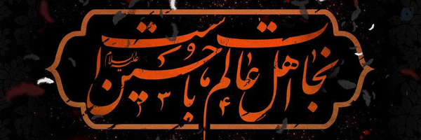 ‌امیررضا بختیاری‌'s header picture