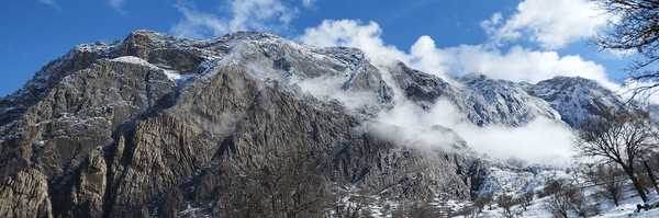 ‌احمد مرادی‌'s header picture