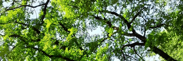 ‌خانم طالبی‌'s header picture