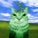 Profile picture of ‌Hate this baka life‌