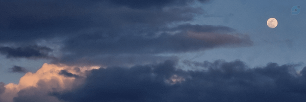 ‌hani🎀‌'s header picture