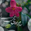 Profile picture of ‌محمدعلی صادقیان‌