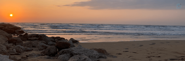 ‌سید احمد‌'s header picture