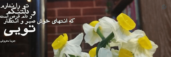 ‌Razieh Dadman‌'s header picture